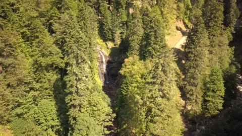 Drone flight forest waterfall people Stock Footage 130659361