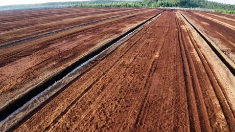 Drone flight forward. Aerial view of peat extraction bog. Large peat field. Stock Footage 317933686