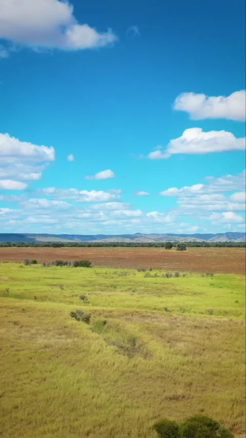 Drone flight forward over green grass, blue sky, white clouds Stock Footage 232160337