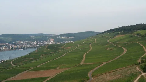 Drone flight in German vineyards. 库存影片 113354798