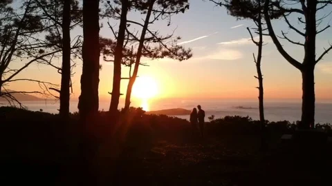Drone flight going backwards on a forest with a couple at sunset Stock Footage 123216250