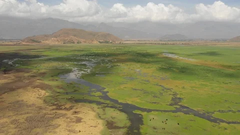 Drone flight green mountain valley and wetlands in Ethiopia Africa Stockbeeldmateriaal 114342803