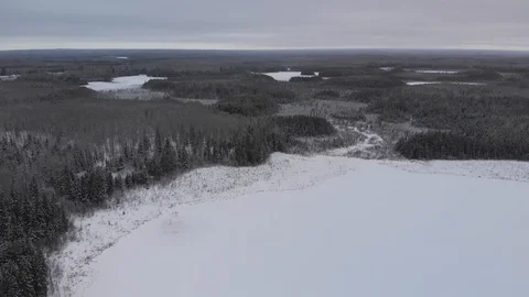 Drone flight high above the treetops showing a vast winter landscape Stock Footage 120617825