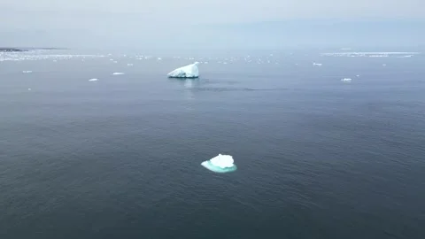 Drone Flight to Iceberg off Cape Norman, North Coast Newfoundland Stock Footage 253255152