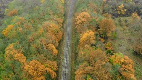 Drone flight in an industrial area. A freight train loaded with wood moves Stock Footage 230997277