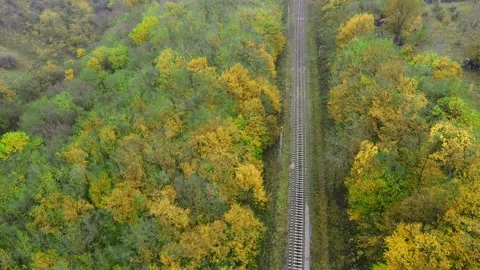 Drone flight in an industrial area. A freight train loaded with wood moves Stock Footage 230997865