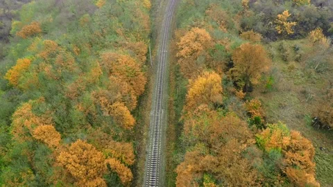 Drone flight in an industrial area. A freight train loaded with wood moves Stock Footage 236068445