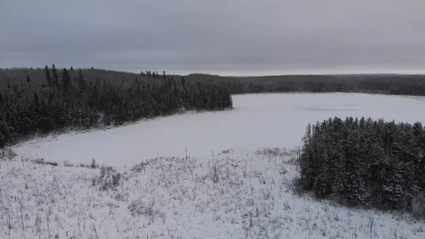 Drone flight just above the treetops showing a vast winter landscape with a lake Stock Footage 120617811