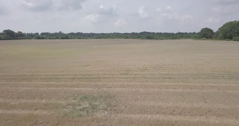 DRONE FLIGHT LOW FAST ON THE FIELD Video stock 112257352