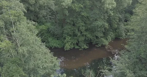 DRONE FLIGHT LOW IN THE FOREST Video stock 112258070