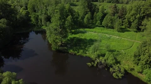 Drone Flight from a Marsh Through a Green Forest to a Lake and an Old House Stock Footage 134277196