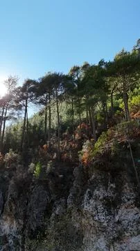 Drone flight mountains coniferous forest clear blue sky Stock-Fotos