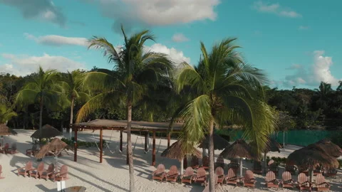 Drone flight near palm close aerial view. Paradise concept, Mexico, Cozumel. Stock Footage 168826053