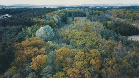 Drone flight from one side to the other Stock Footage 129451203