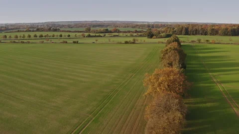 A drone flight over agricultural fields in Germany with a view at a country road Stock Footage 239098463