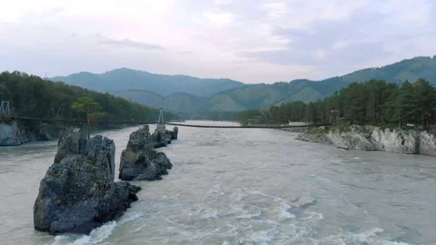 Drone flight over Altai river Katun and lonely pine tree on rock. It's local Stock Footage 139846864