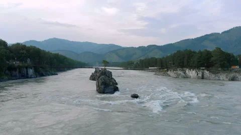 Drone flight over Altai river Katun and lonely pine tree on rock Stock-Footage 148007816