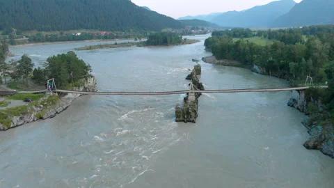 Drone flight over Altai river Katun and lonely pine tree on rock Stock-Footage 148008351
