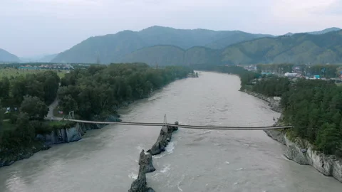 Drone flight over Altai river Katun and lonely pine tree on rock. Stock-Footage 148014001