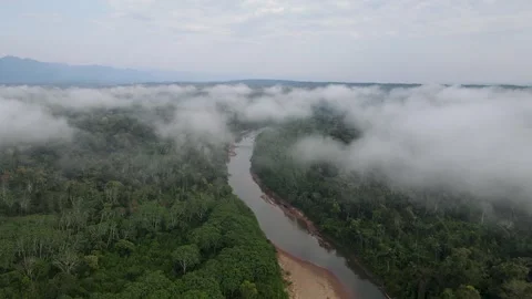 Drone Flight Over Amazon Rainforest River in Morning Mist, Bolivia Vídeo Stock 329474393