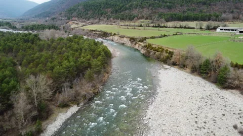 Drone flight over the Ara river between forests and grass meadows in Huesca Stock Footage 174374473