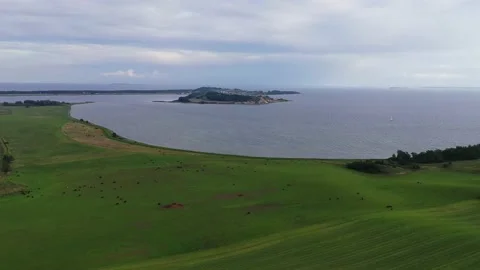 Drone flight over area Moenchgut on Ruegen, Germany Stock Footage 141118708