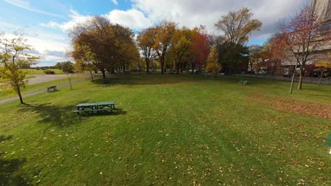 Drone Flight Over Asphalt Road and Autumn Park with Trees in Quebec, Canada Stock Footage 319964683