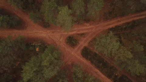 Drone flight over the autumn forest Stock Footage 111409793