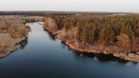 Drone Flight Over Autumn Forest and River Stock Footage 300673523