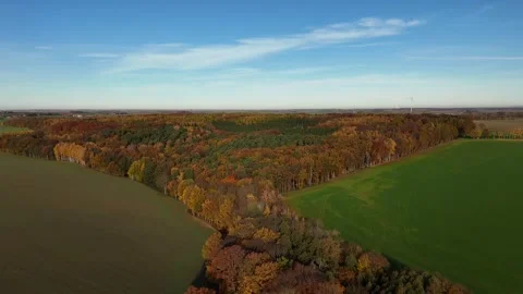 Drone Flight Over Autumn Forest and Green Fields Stock Footage 321292374