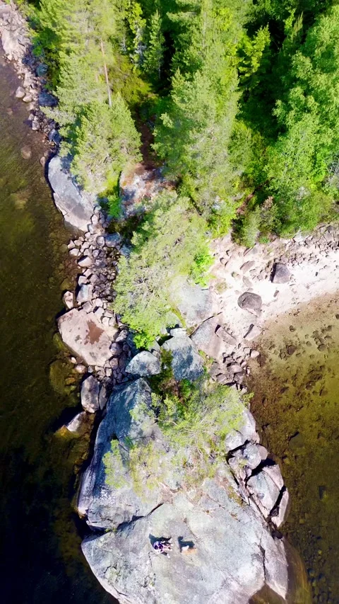 Drone flight over beach and treetops. Norway Stock-Footage 319477456