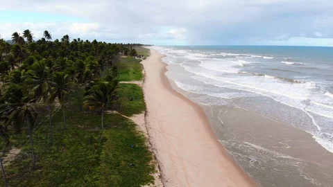 Drone flight over beach. Imbassaí Beach. Bahia, Brazil. Vídeo Stock 117043060
