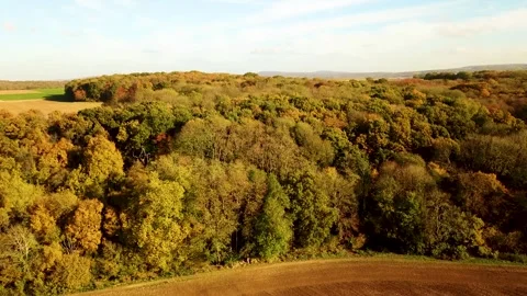 Drone Flight Over Beautiful Fall Trees in Forest. Autumn in Vexin, France Video stock 294197272