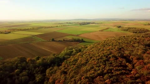 Drone Flight Over Beautiful Fall Trees in Forest. Autumn in Vexin, France Video stock 294197992