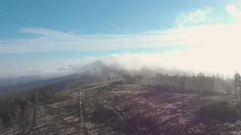 Drone flight over big deforested area due to climate change Stock Footage 161942018
