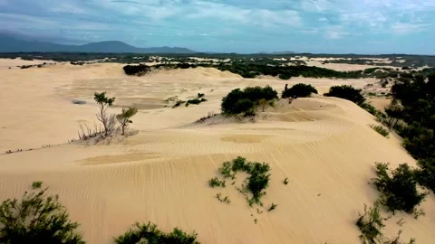 Drone flight over the Big Drift, a giant sand dune, Australia Stock Footage 262945281
