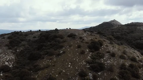 Drone flight over black volcanic hills Stock Footage 112331978