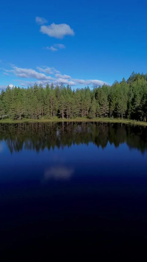 Drone flight over blue waters, green forrest under blue sky. Stock-Footage 319477496