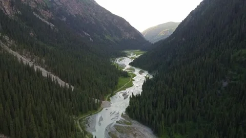 Drone Flight Over Braided River In Green Valley. Kyrgyzstan, Karakol Stock Footage 332943429