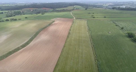 Drone flight over Brown, green and red fields Stock Footage 90495436