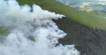 Drone flight over burning hillside with storks flying over the smoke Stock Footage 85644366