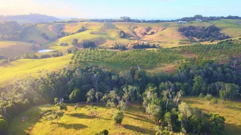 Drone flight over the Byron Bay hinterland - Telopa. NSW Australia - 4K 60fps Video stock 201006607