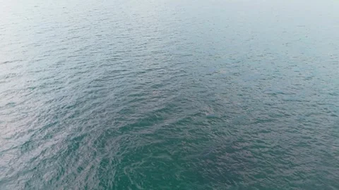 Drone flight over calm Baltic Sea water Stock Footage 341490250