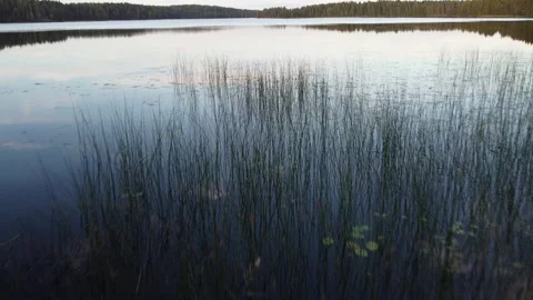 Drone flight over calm lake surface in Karelia Stock Footage 311949155