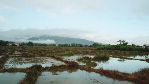 Drone Flight Over Chiang Mai Urban Landscape and Surrounding Rice Fields Stock-Footage 333697947