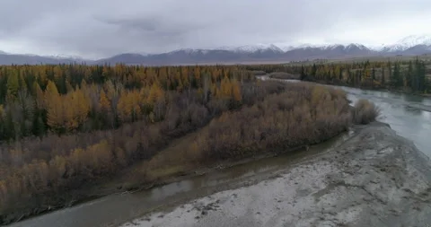 Drone flight over Chuya picturesque mountain river in autumn, Altai Stock Footage 143785131