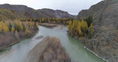Drone flight over Chuya river flowing near rocky mountains and trees, Altai Stock Footage 143835859