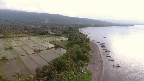 Drone flight over the coast of Lovina Stock Footage 103514532