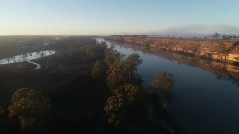 Drone Flight over Cockatoos along the Murray River Stock Footage