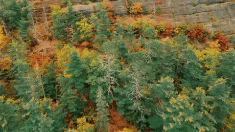 Drone Flight Over Colourful Trees Towards A Cliffside Lookout Stock Footage 255059961